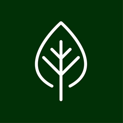 Senior Financial Controller