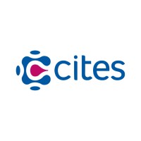 Marketing & Comunicación