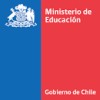 Jefa de Operaciones y Gestión Estratégica,  / BECAS CHILE