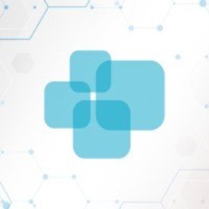 Analista Programador Pleno