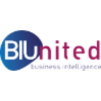 Microsoft BI Consultant