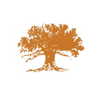 Director of Social Sales and Service