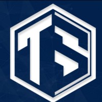 Data Analyst - Remote