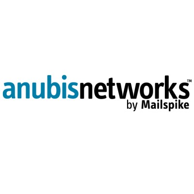 Consulting CEO - AnubisNetworks Spinout