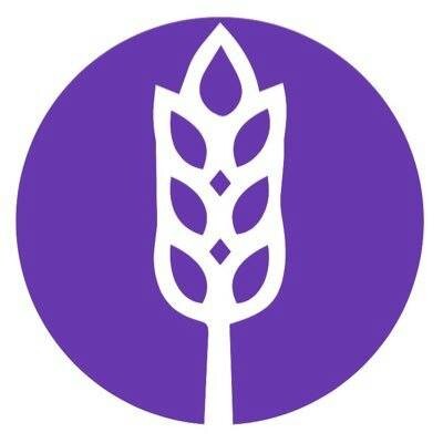 Human Resources Director