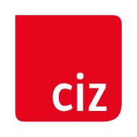 Microsoft BI Consultant