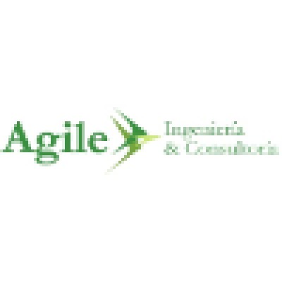 Ingeniero de software