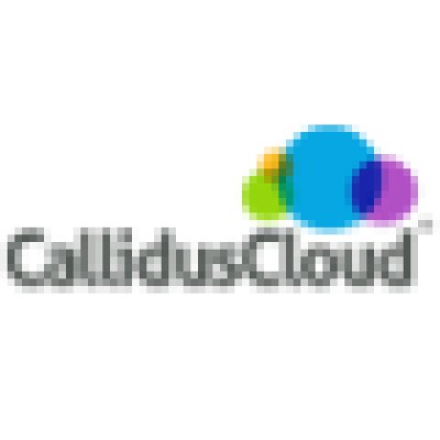 Sr. Search Engine Optimization Analyst
