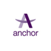 IT Business Partner