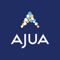 Commercial Team Lead