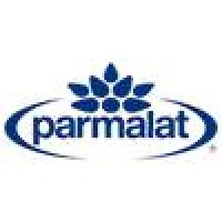 IT Manager  –  Business Process, Methods Manager