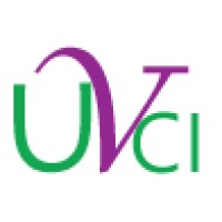 Web development and database creation