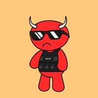 Interface Specialist