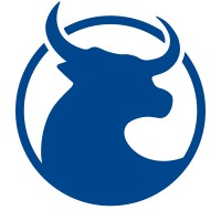 Software Engineer