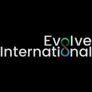 Architectural Design Manager 