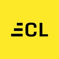 Assistant Consultant