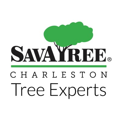Arborist Assistant 