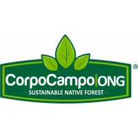 Coordinadora de proyectos