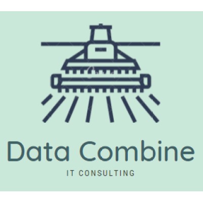 Lead Data Consultant