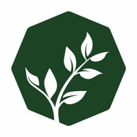Strategy Intern