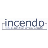 Software Developer