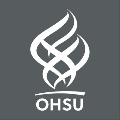 Chiropractor/Assistant Professor 