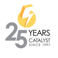 Lead Digital Developer