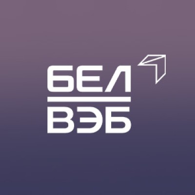 Senior Project Manager