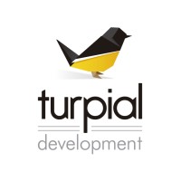 Junior software developer