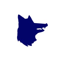 Senior Copywriter