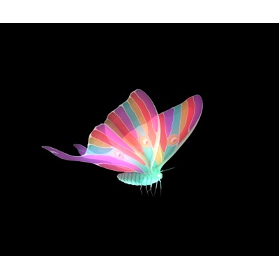 Production Associate & Artist Liaison