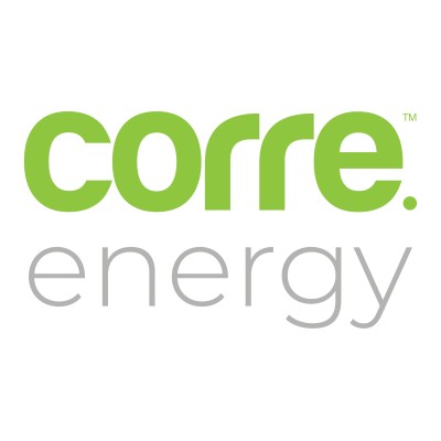 Consultant CFO BV/PLC