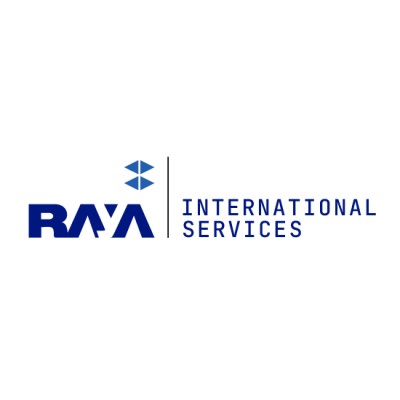 ERP consultant