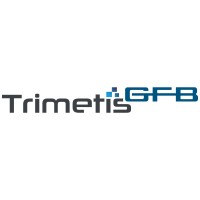IT-Consultant