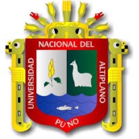 Docencia universitaria