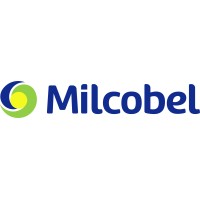 Project Manager