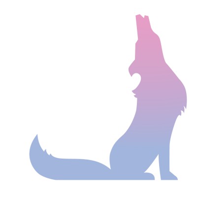 Senior Account Manager