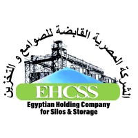 Information Technology Consultant