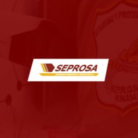 Gerente de Eficiencia Operativa
