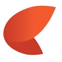 Social Media Executive