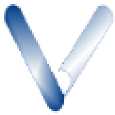 Junior Software Developer