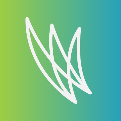 Business Development and Partnerships