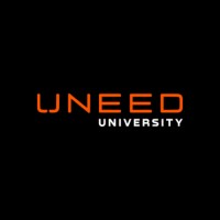 MBA Program Professor