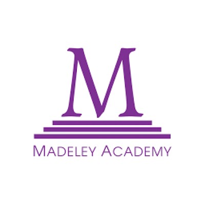 Senior Video Editor