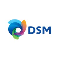 Program Director SPA Program for Western Europe  DSM