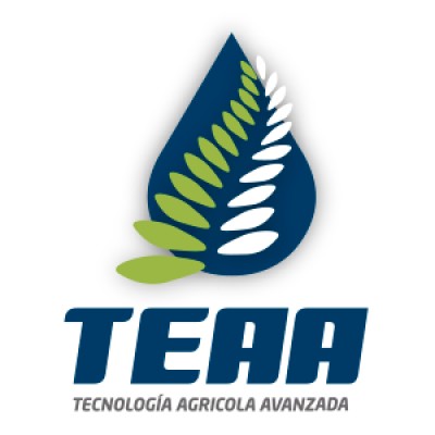 Director internacional de cuentas de ventas