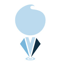 Strategy Consultant
