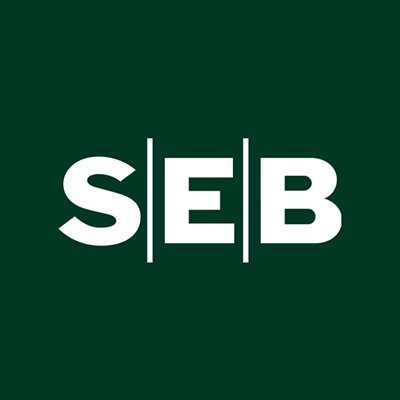 Business Developer