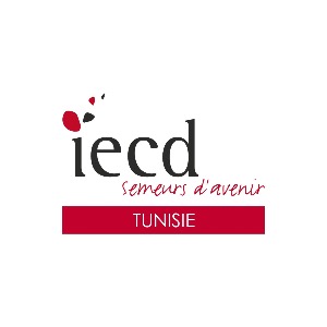 Consultant - Fundraising strategy