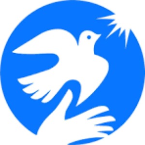 Academic Improvement Specialist